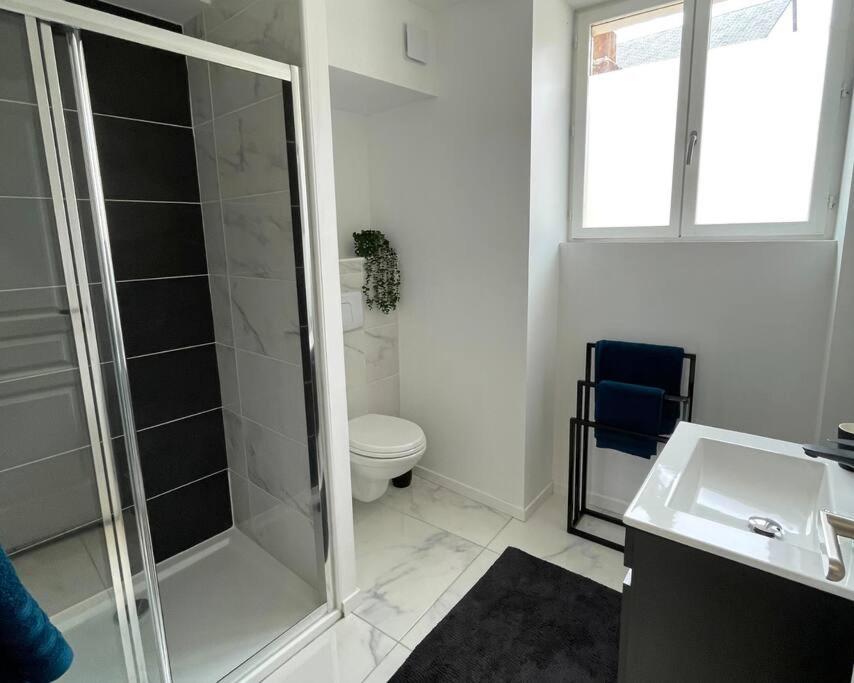 Appartement Yokohama, Duplex Avec Jardin à Bourges Extérieur photo